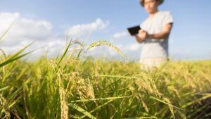 BNDES Crédito Rural A Engenharia de Capital para o Agronegócio em 2026