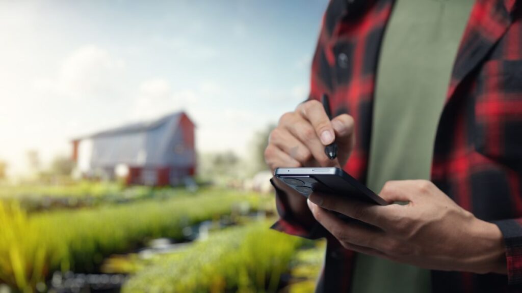 Financiamento agronegócio FNE nordeste — produtor rural em propriedade do semiárido