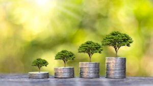 FNO Acre Financiamento para Empresas pelo Banco da Amazônia