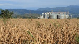Financiamento para Agroindústria em 2026 Guia Completo de FCO, FNE e FNO