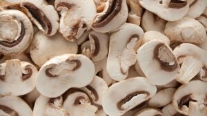 Financiamento para Produção e Processamento de Cogumelos em 2026