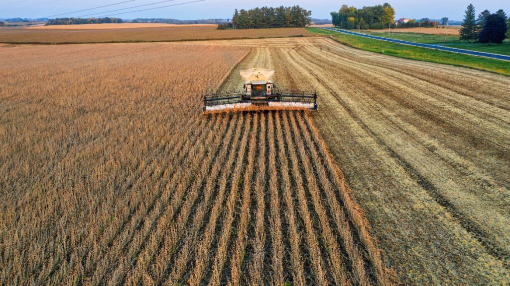 FNE Agronegócio Financiamento Rural pelo Banco do Nordeste