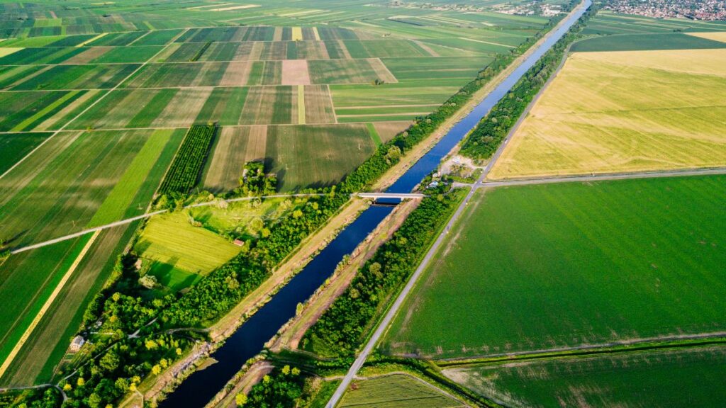 FNO Economia Verde Como Financiar Projetos de Bioeconomia e Biodiversidade na Amazônia