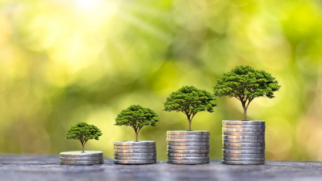 FNO Acre Financiamento para Empresas pelo Banco da Amazônia