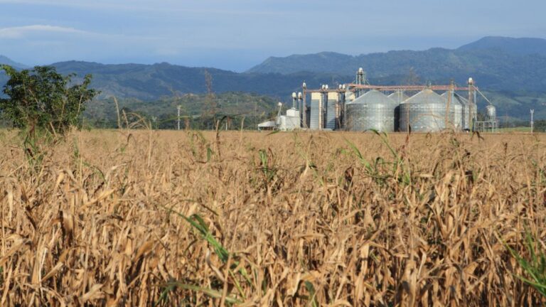 Financiamento para Agroindústria em 2026 Guia Completo de FCO, FNE e FNO