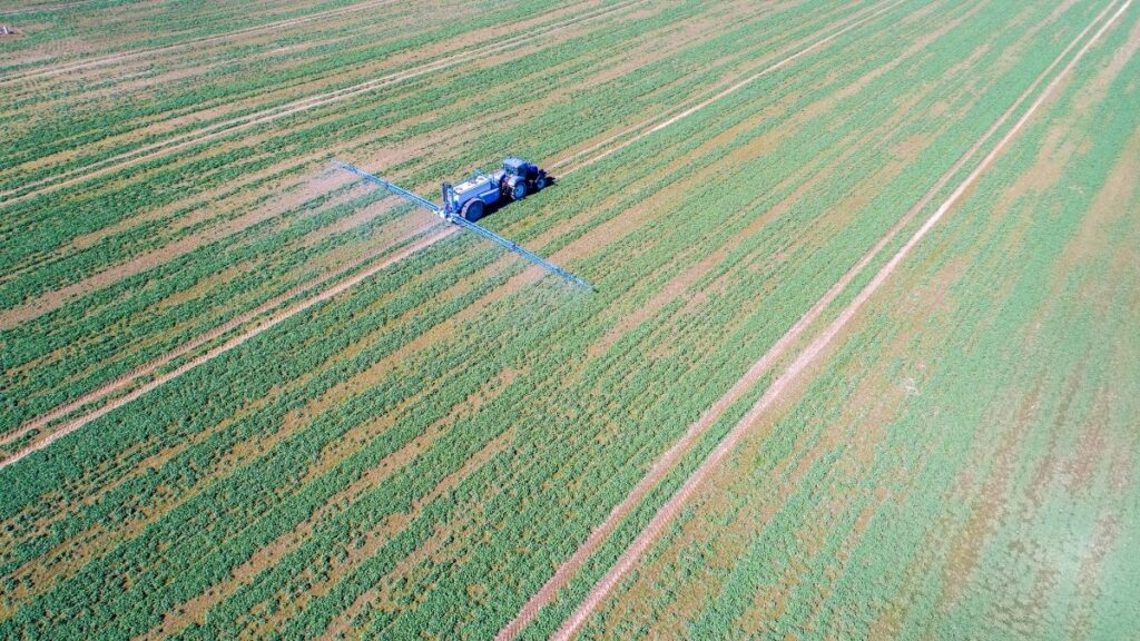 Financiamento para Agroindústria em Goiás