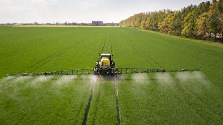 Financiamento para Agroindústria na Bahia