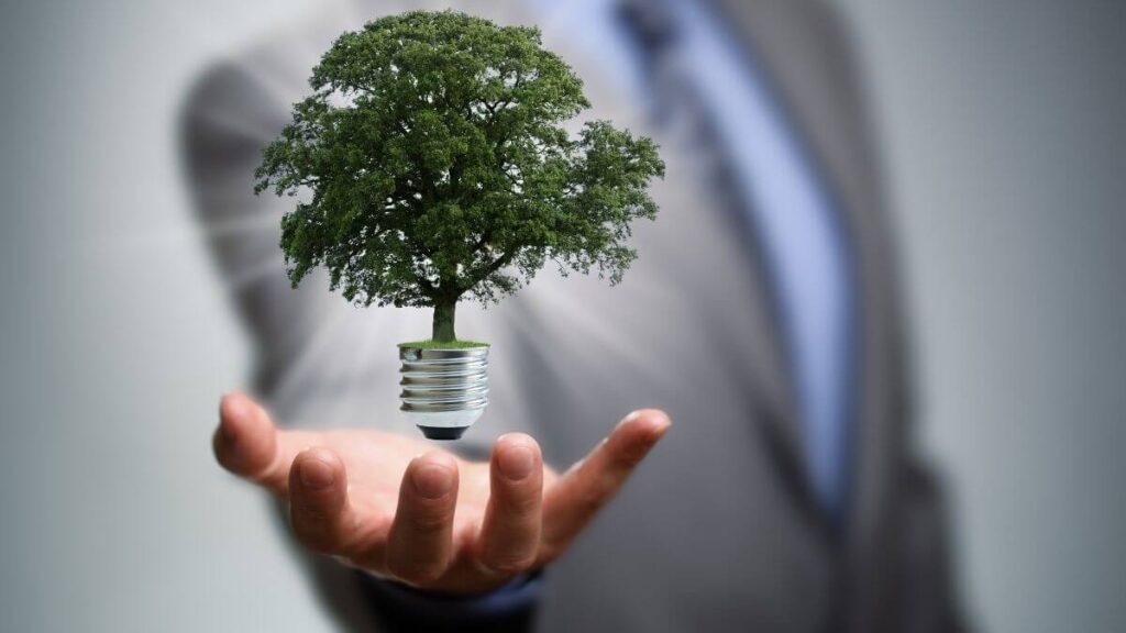 O Que Conta Como Inovação em Energia e Meio Ambiente